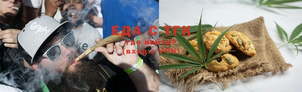 ПСИЛОЦИБИНОВЫЕ ГРИБЫ Тайга