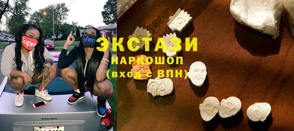 индика Сясьстрой
