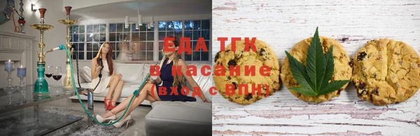 ПСИЛОЦИБИНОВЫЕ ГРИБЫ Тайга